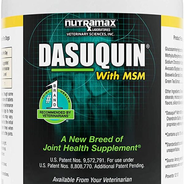 Nutramax Dasuquin with MSM Chewables, Large Dog